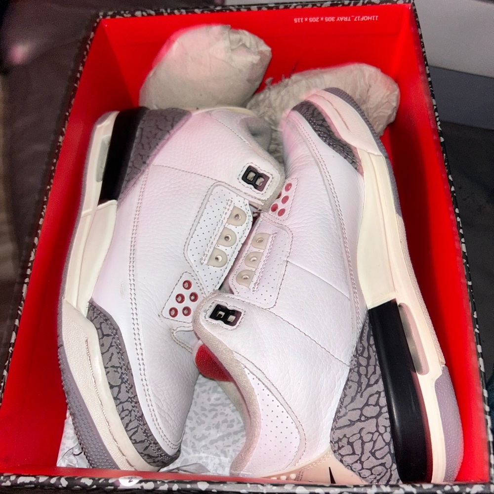 Air Jordan 3 retro